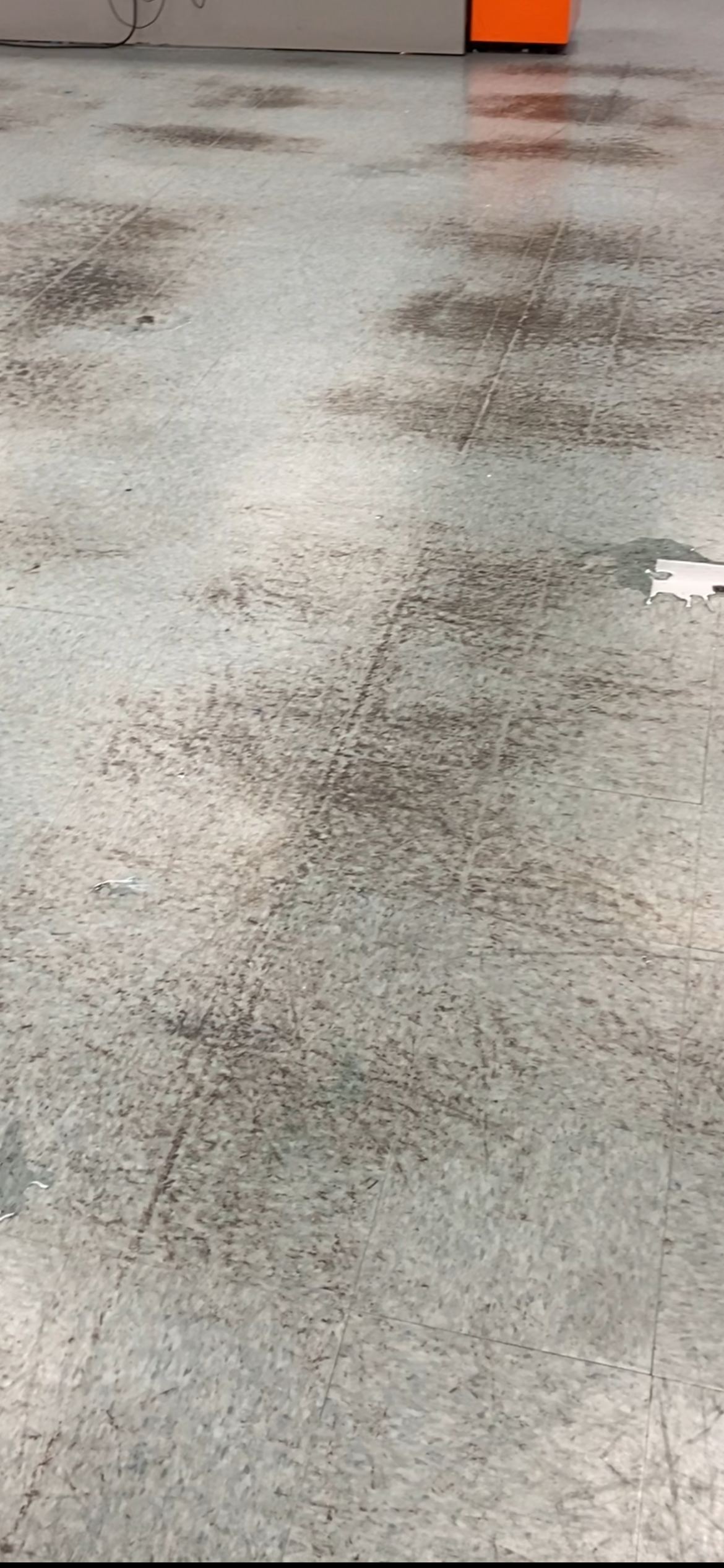 Commercial floor after restoration